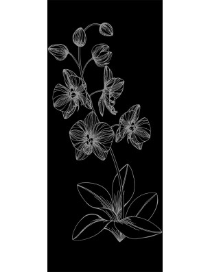 Ganzglastür Blume 9 Gelasert Auf Klarglas