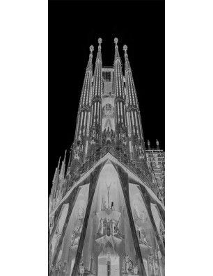 Ganzglastür Barcelona Gelasert Auf Klarglas