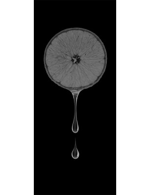 Ganzglastür Orange Gelasert Auf Klarglas