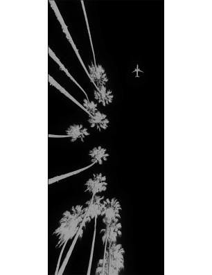 Ganzglastür California Gelasert Auf Klarglas