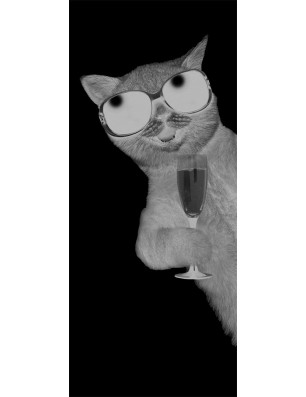 Ganzglastür Drinking Cat Gelasert Auf Klarglas