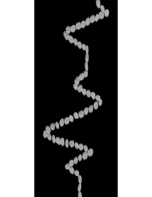 Ganzglastür Kaffeebohnen  Gelasert Auf Klarglas