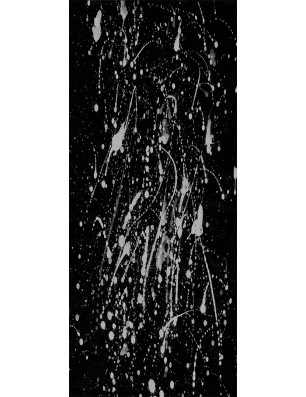 Ganzglastür Abstrakt Gelasert Auf Klarglas