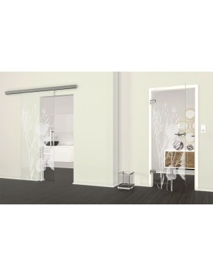 Ganzglastür Blume 7 Gelasert Auf Klarglas