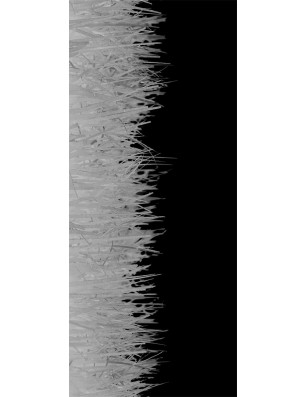 Ganzglastür Wiese Gelasert Auf Klarglas