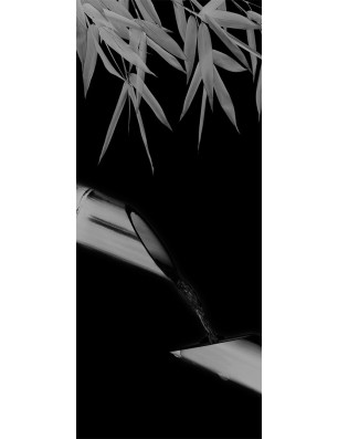 Ganzglastür Wellness 3 Gelasert Auf Grauglas