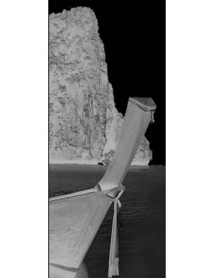 Ganzglastür Phuket Gelasert Auf Grauglas