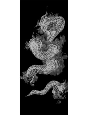 Ganzglastür Dragon Gelasert Auf Grauglas
