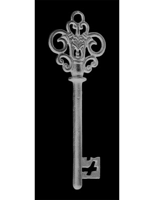 Ganzglastür Key Gelasert Auf Grauglas