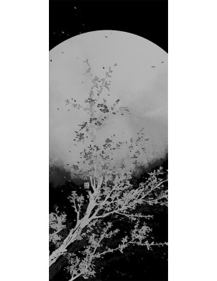 Ganzglastür Mond Gelasert Auf Grauglas