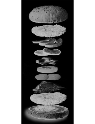 Ganzglastür Burger Gelasert Auf Grauglas