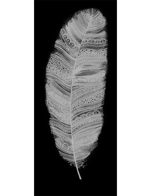 Ganzglastür Feder Gelasert Auf Grauglas