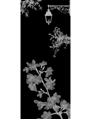 Ganzglastür Streetlamp Gelasert Auf Grauglas