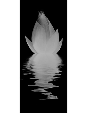Ganzglastür Lotus Gelasert Auf Grauglas