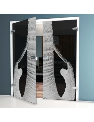 Ganzglastür Rüssel Gelasert Auf Grauglas