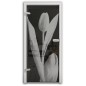Ganzglastür Tulpe Gelasert Auf Grauglas Ganzglastür Tulpe Gelasert Auf Grauglas