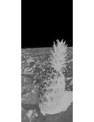 Ganzglastür Ananas Gelasert Auf Grauglas