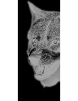 Pendeltür Wolf Gelasert Auf Klarglas