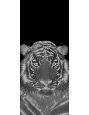 Pendeltür Tigerkopf Gelasert Auf Klarglas