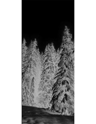 Pendeltür Winterwald Gelasert Auf Grauglas