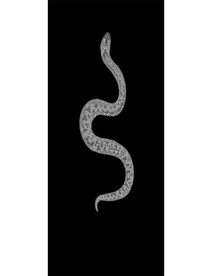 Pendeltür Snake Gelasert Auf Grauglas