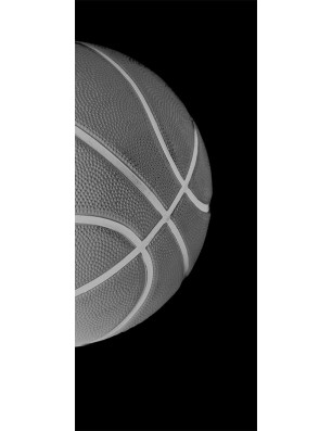 Pendeltür Basketball Gelasert Auf Grauglas