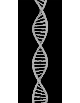 Pendeltür "DNA" Gelasert Auf Grauglas