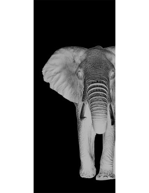 Pendeltür Elefant 2 Gelasert Auf Grauglas