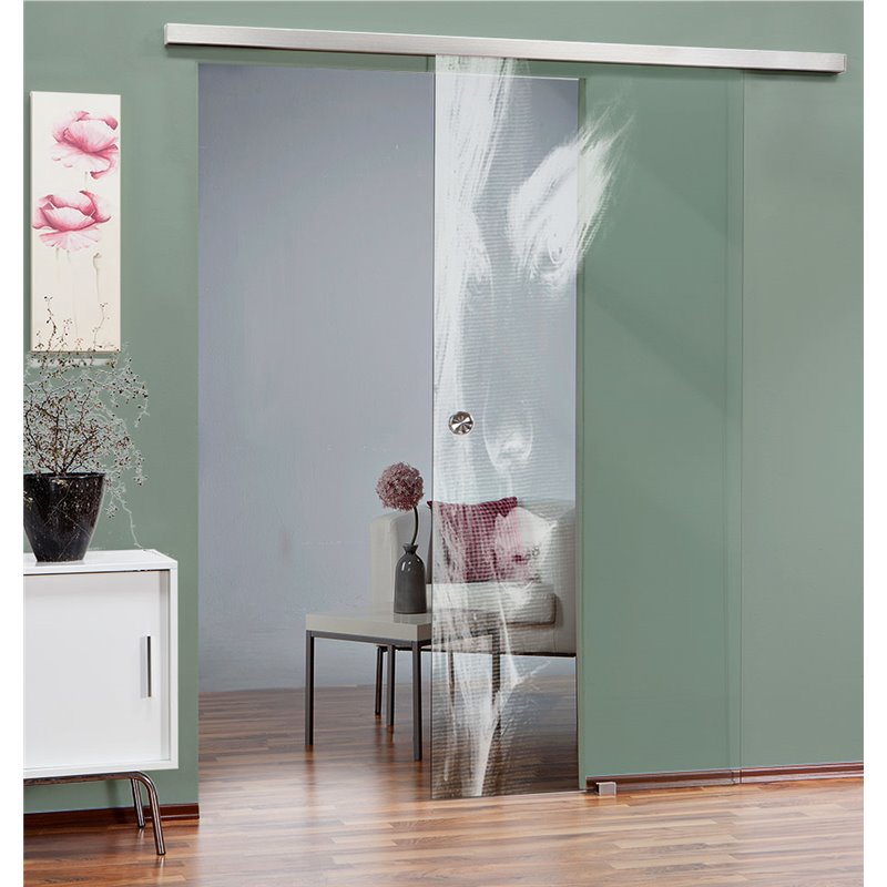 Glasschiebetür SLIM-LINE Silhuette Gelasert Auf Klarglas Glasschiebetür SLIM-LINE Silhuette Gelasert Auf Klarglas