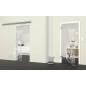 Glasschiebetür SLIM-LINE Katze Gelasert Auf Klarglas Glasschiebetür SLIM-LINE Katze Gelasert Auf Klarglas