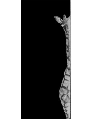 Glasschiebetür SLIM-LINE Giraffe Gelasert Auf Klarglas