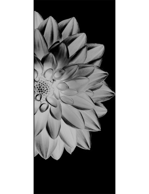Glasschiebetür SLIM-LINE Blume 4 Gelasert Auf Klarglas