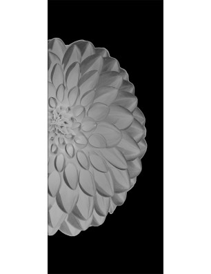 Glasschiebetür SLIM-LINE Blume 8 Gelasert Auf Klarglas