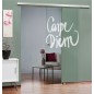 Glasschiebetür SLIM-LINE Carpe Diem Gelasert Auf Klarglas Glasschiebetür SLIM-LINE Carpe Diem Gelasert Auf Klarglas