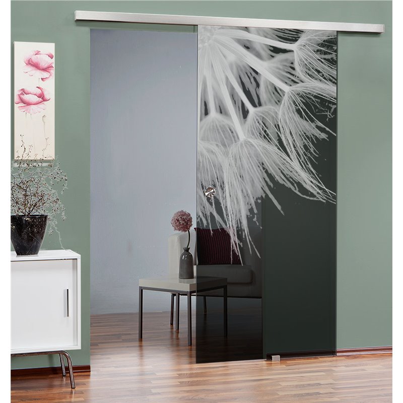 Glasschiebetür SLIM-LINE Pusteblume II Gelasert Auf Grauglas Glasschiebetür SLIM-LINE Pusteblume II Gelasert Auf Grauglas