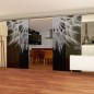 Glasschiebetür SLIM-LINE Pusteblume II Gelasert Auf Grauglas Glasschiebetür SLIM-LINE Pusteblume II Gelasert Auf Grauglas