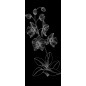 Glasschiebetür SLIM-LINE Blume 9 Gelasert Auf Grauglas Glasschiebetür SLIM-LINE Blume 9 Gelasert Auf Grauglas