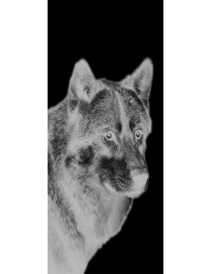 Glasschiebetür SLIM-LINE Wolf 5 Gelasert Auf Grauglas