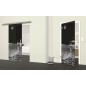 Glasschiebetür SLIM-LINE Boot 4 Gelasert Auf Grauglas Glasschiebetür SLIM-LINE Boot 4 Gelasert Auf Grauglas