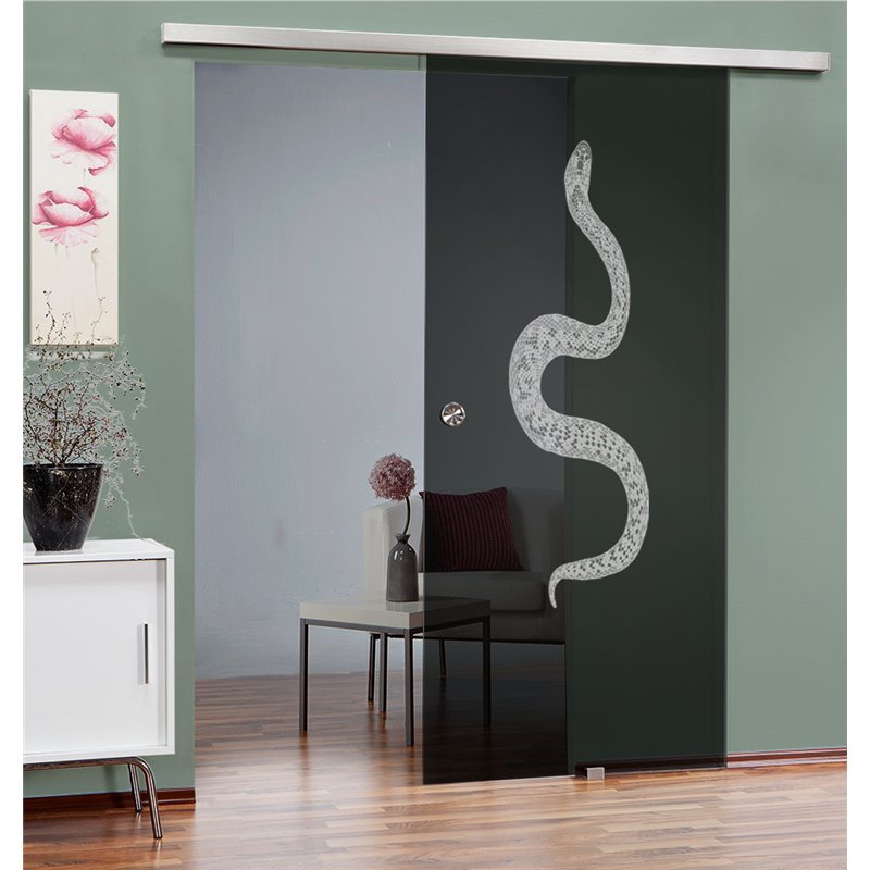 Glasschiebetür SLIM-LINE Snake Gelasert Auf Grauglas Glasschiebetür SLIM-LINE Snake Gelasert Auf Grauglas