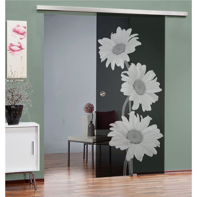 Glasschiebetür SLIM-LINE Kamille Gelasert Auf Grauglas Glasschiebetür SLIM-LINE Kamille Gelasert Auf Grauglas