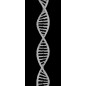 Glasschiebetür SLIM-LINE "DNA" Gelasert Auf Grauglas Glasschiebetür SLIM-LINE "DNA" Gelasert Auf Grauglas
