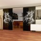 Glasschiebetür SLIM-LINE Wolf 3 Gelasert Auf Grauglas Glasschiebetür SLIM-LINE Wolf 3 Gelasert Auf Grauglas