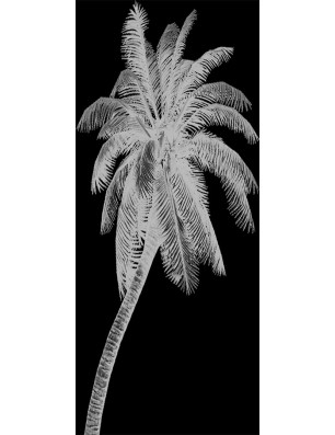 Glasschiebetür SLIM-LINE Palme Gelasert Auf Grauglas