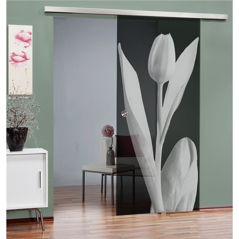 Glasschiebetür SLIM-LINE Tulpe Gelasert Auf Grauglas Glasschiebetür SLIM-LINE Tulpe Gelasert Auf Grauglas