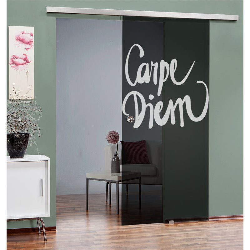 Glasschiebetür SLIM-LINE Carpe Diem Gelasert Auf Grauglas Glasschiebetür SLIM-LINE Carpe Diem Gelasert Auf Grauglas