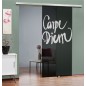 Glasschiebetür SLIM-LINE Carpe Diem Gelasert Auf Grauglas Glasschiebetür SLIM-LINE Carpe Diem Gelasert Auf Grauglas