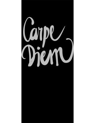 Glasschiebetür SLIM-LINE Carpe Diem Gelasert Auf Grauglas