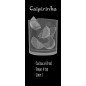Glasschiebetür SLIM-LINE Caipirinha Gelasert Auf Grauglas Glasschiebetür SLIM-LINE Caipirinha Gelasert Auf Grauglas