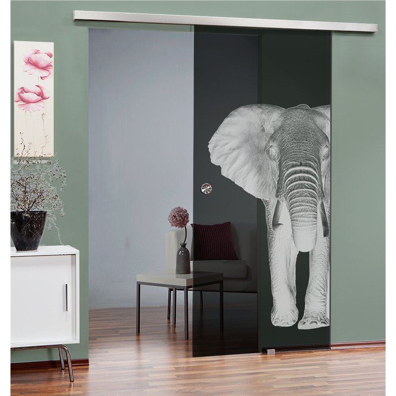 Glasschiebetür SLIM-LINE Elefant 2 Gelasert Auf Grauglas Glasschiebetür SLIM-LINE Elefant 2 Gelasert Auf Grauglas